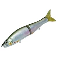 11点ビックベイト　ジョイクロ等多数 11点ビックベイト ジョイクロ等多数 31tsVGlmYnL._UF350